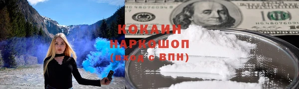 крисы Аркадак