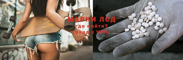 крисы Аркадак
