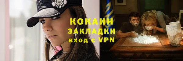крисы Аркадак